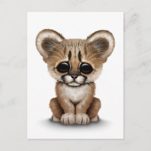 Cougar Cub Postcards No Minimum Quantity Zazzle