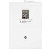 cute baby cougar kitten big cat wildlife (Back)