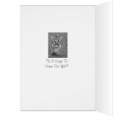 cute baby cougar kitten big cat wildlife (Inside (Left))