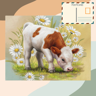 Cute Baby Cow in a field of Daisies Flowers Postcard