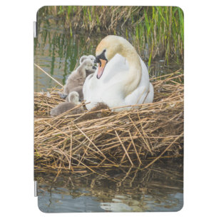 Cute baby cygnets with mom swan iPad air cover