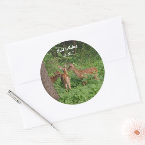 Cute Baby Deer Best Wishes Classic Round Sticker