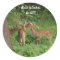 Cute Baby Deer Best Wishes