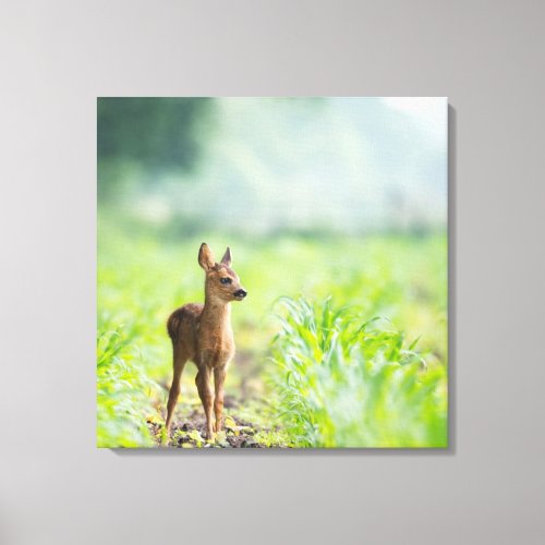 Cute Baby Deer Fawn in Grass Nature Photography Canvas Print