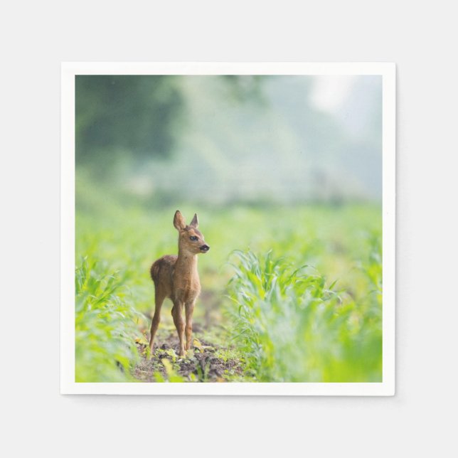 Cute Baby Deer Fawn in Grass Nature Photography Napkins (Front)