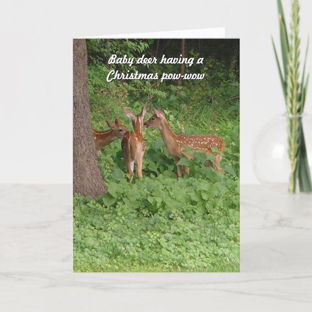 Cute Baby Deer Pow-Wow Christmas Card (Front)