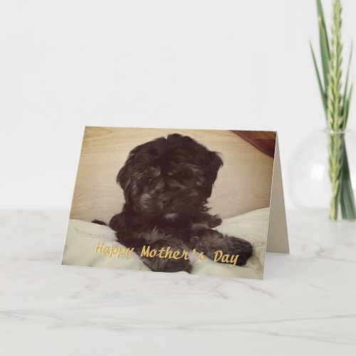 Cute Baby Dog Happy Mothers Day Card