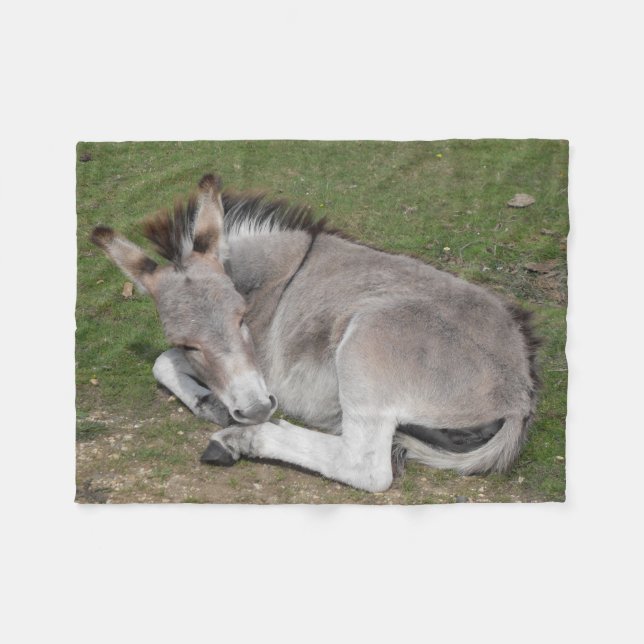 Cute Baby Donkey Foal Fleece Blanket (Front (Horizontal))