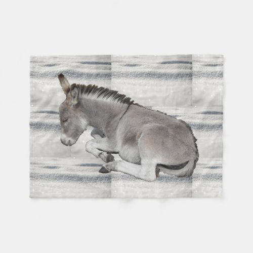 Cute Baby Donkey Foal on Snow Fleece Blanket