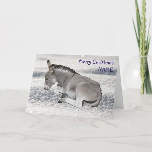 Cute Baby Donkey on Snow Christmas Holiday Card