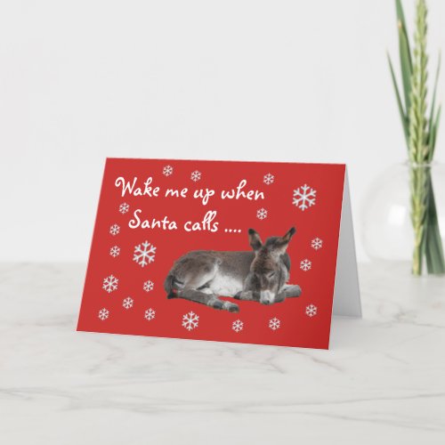 Cute Baby Donkey Red Christmas Holiday Card