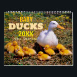 Cute Baby Ducks 2025 Wall Calendar<br><div class="desc">Enjoy an adorable baby duck photo every month of the year! Personalized with current year on the front.</div>