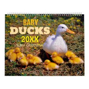 Cute Baby Ducks 2025 Wall Calendar