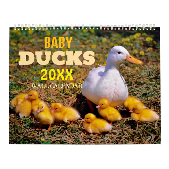 Cute Baby Ducks 2025 Wall Calendar (Cover)