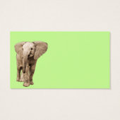 Cute Baby Elephant (Back)
