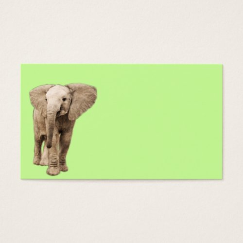 Cute Baby Elephant Business Cards