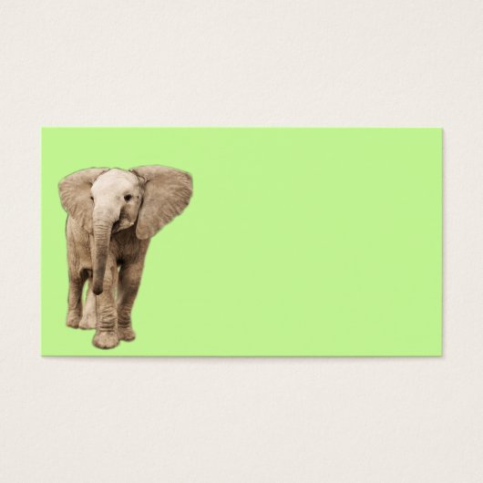 Cute Baby Elephant (Front)