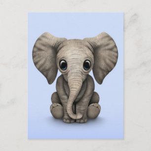 Cute Baby Elephant Calf Sitting Down, Light Blue Postcard