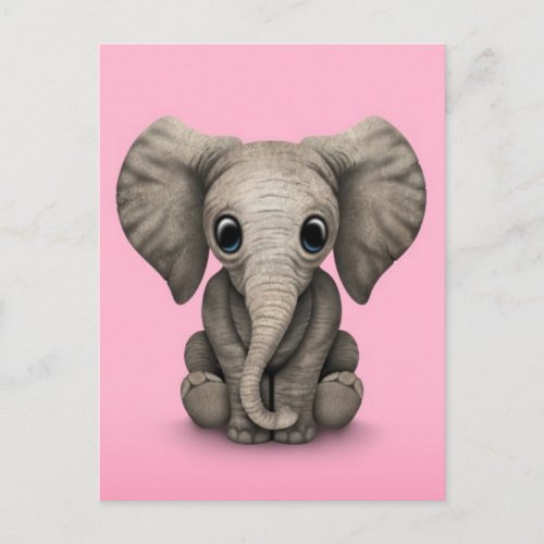 Cute Baby Elephant Calf Sitting Down Pink Postcard