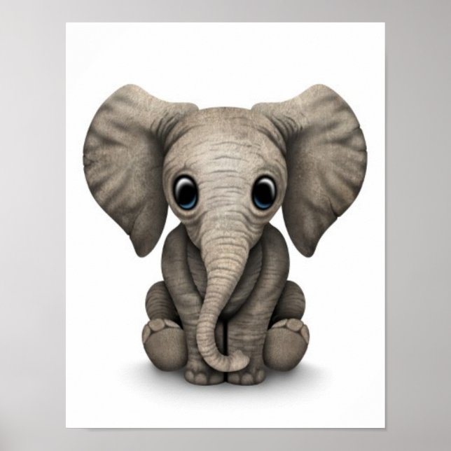 Cute Baby Elephant Calf Sitting Down, White Poster (Front)