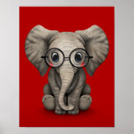 Cute Baby Elephant With Reading Glasses Red Poster at Zazzle