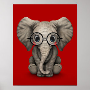Cute Baby Elephant with Reading Glasses Red Poster