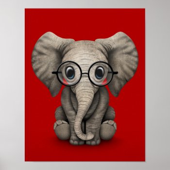 Cute Baby Elephant With Reading Glasses Red Poster by crazycreatures at Zazzle
