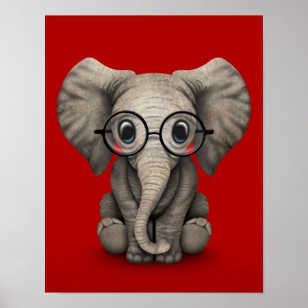 Cute Baby Elephant With Reading Glasses Red Poster