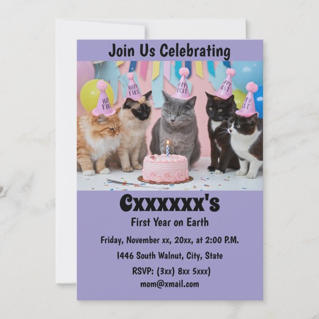 Cute Baby First Birthday Invitation (Front)