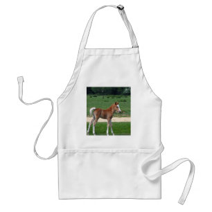 Cute Baby Foal Destiny Gifts Springtime Adorable Adult Apron