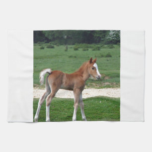 Cute Baby Foal Destiny Gifts Springtime Adorable Kitchen Towel