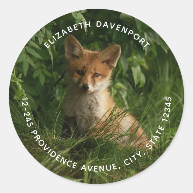 Cute Baby Fox in a Green Forest Address Classic Round Sticker (Front)