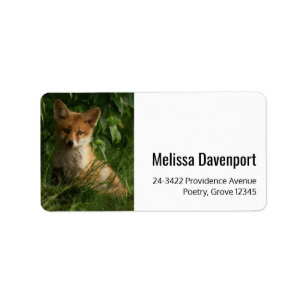 Cute Baby Fox in a Green Forest Address Label