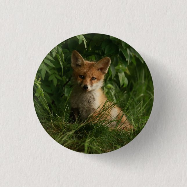 Cute Baby Fox in a Green Forest Button (Front)