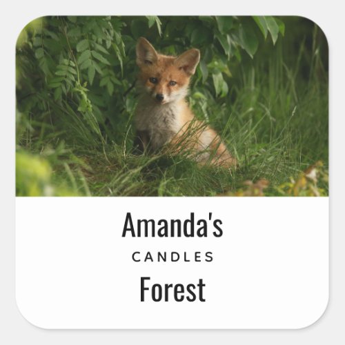  Cute Baby Fox in a Green Forest Candle Business Square Sticker