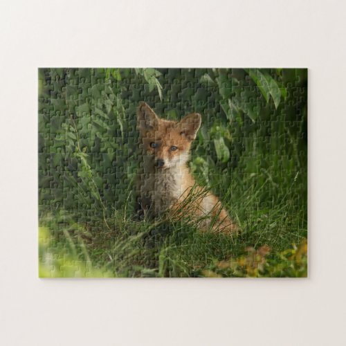 Cute Baby Fox in a Green Forest Jigsaw Puzzle