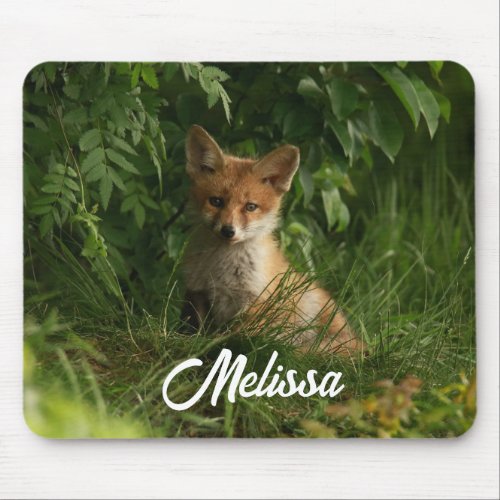 Cute Baby Fox in a Green Forest Mouse Pad