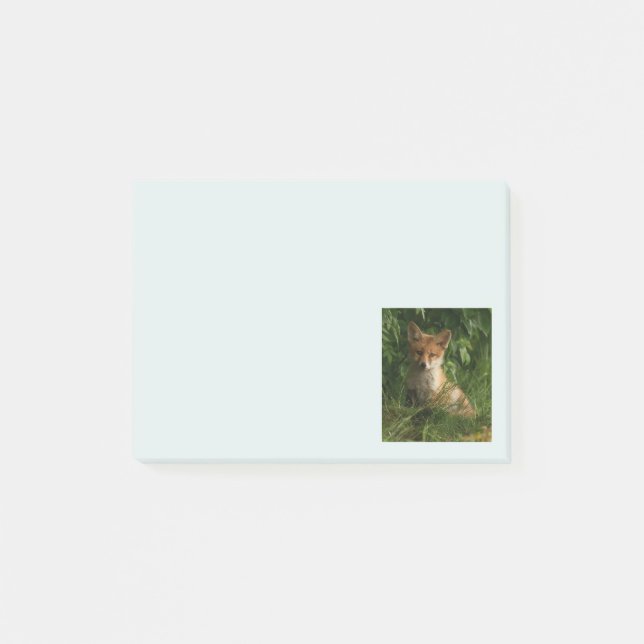 Cute Baby Fox in a Green Forest Post-it Notes (Front)