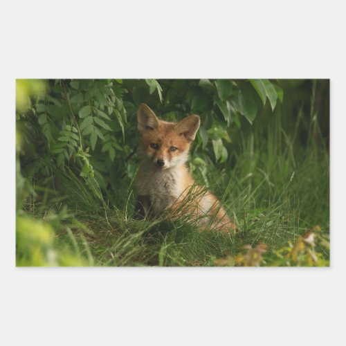 Cute Baby Fox in a Green Forest Rectangular Sticker