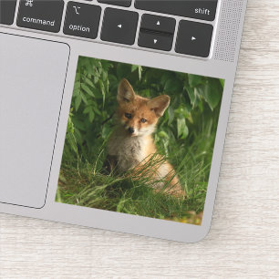 Cute Baby Fox in a Green Forest Sticker