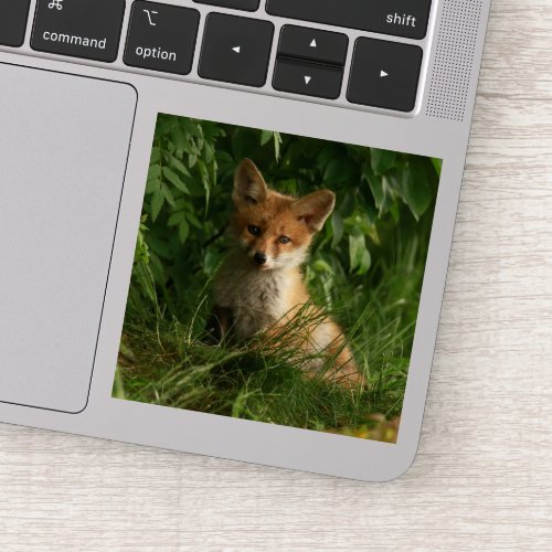 Cute Baby Fox in a Green Forest Sticker