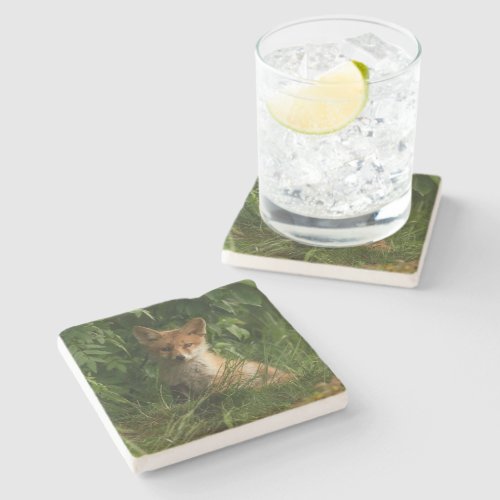 Cute Baby Fox in a Green Forest Stone Coaster