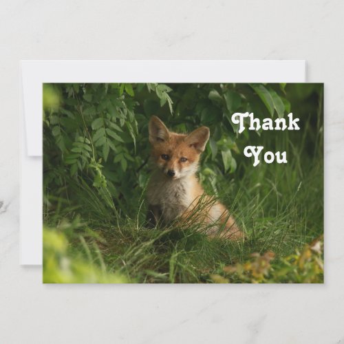 Cute Baby Fox in a Green Forest Thank You Card