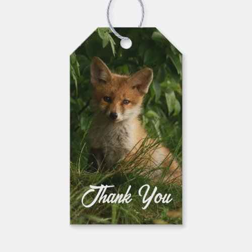 Cute Baby Fox in a Green Forest Thank You Gift Tags