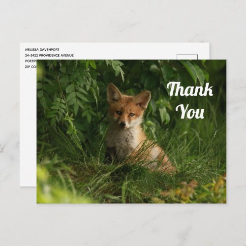 Cute Baby Fox in a Green Forest Thank You Postcard