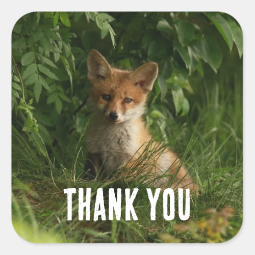 Cute Baby Fox in a Green Forest Thank You Square Sticker