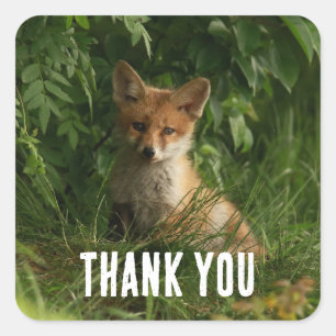 Cute Baby Fox in a Green Forest Thank You Square Sticker