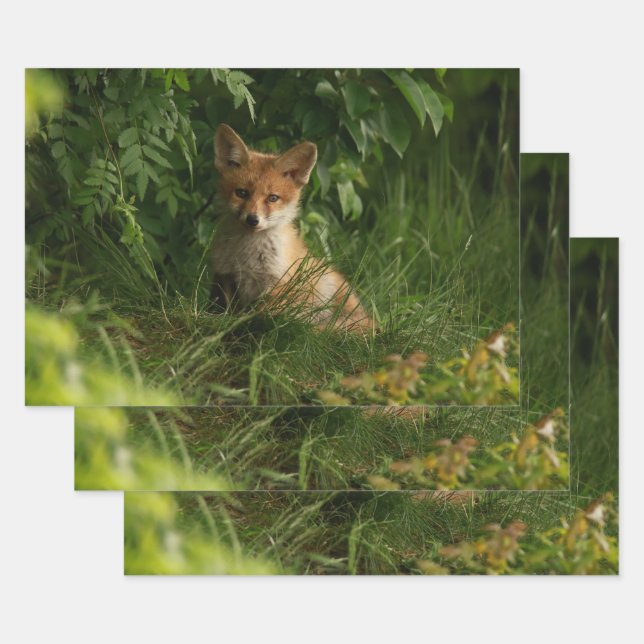 Cute Baby Fox in a Green Forest Wrapping Paper Sheets (Set)