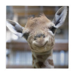 cute baby giraffe tile<br><div class="desc">this cute baby giraffe is just adorable!!</div>