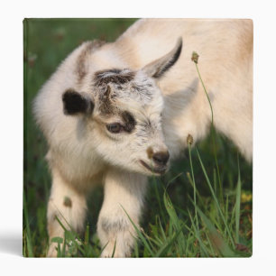 Cute Baby Goat Binder